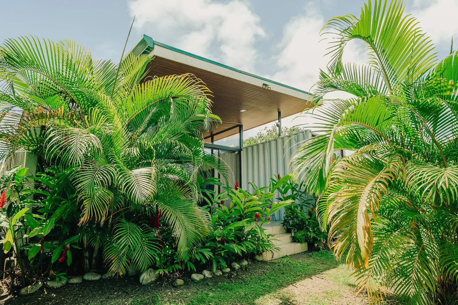 Jardín de palmeras frente a la cabina