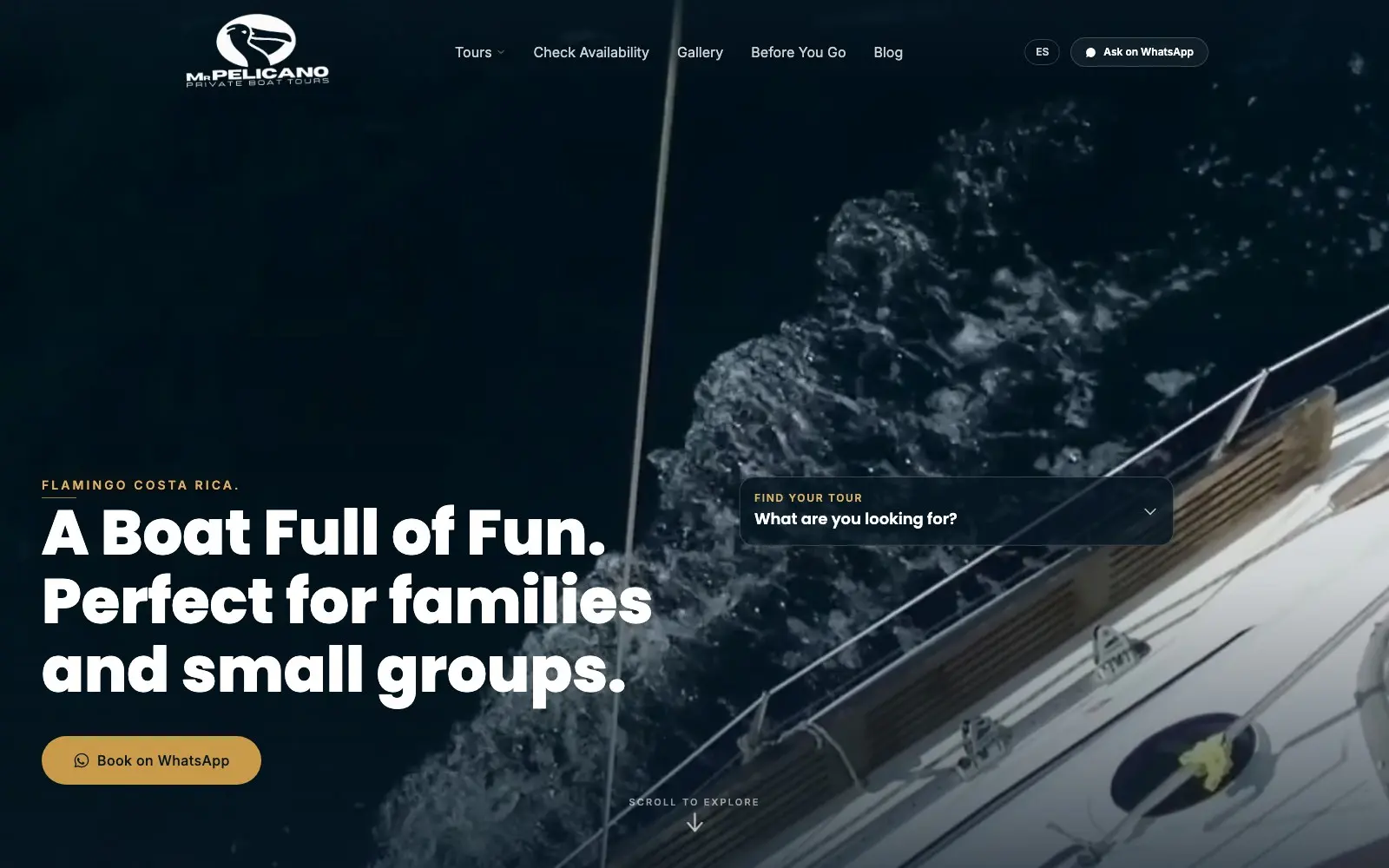 mrpelicanoboattours.com home page